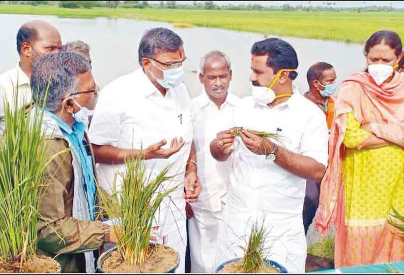 திருவாரூர் மாவட்டத்தில் கணக்கெடுப்பு பணி முடிந்தவுடன் பாதிக்கப்பட்டவர்களுக்கு நிவாரணம் அமைச்சர் காமராஜ் பேட்டி