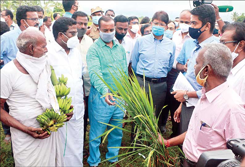 புதுச்சேரியில் புயலால் பாதிக்கப்பட்ட பகுதிகளில் கொட்டும் மழையில் மத்திய குழுவினர் ஆய்வு