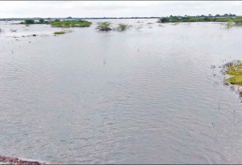 தஞ்சை மாவட்டத்தில் தொடர் மழை: செங்கிப்பட்டி பகுதி ஏரிகள் நிரம்பின