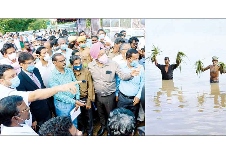 கடலூரில் மத்திய குழு ஆய்வு ஏக்கருக்கு ரூ.30 ஆயிரம் நிவாரணம் வழங்க விவசாயிகள் வலியுறுத்தல்