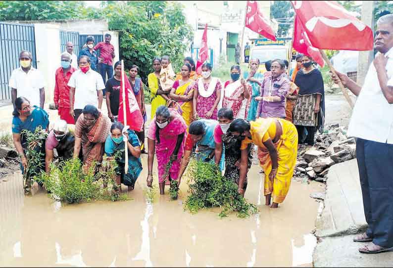 பழுதடைந்த சாலையை சீரமைக்கக்கோரி நாற்றுநடும் போராட்டம் நடத்திய பொதுமக்கள்