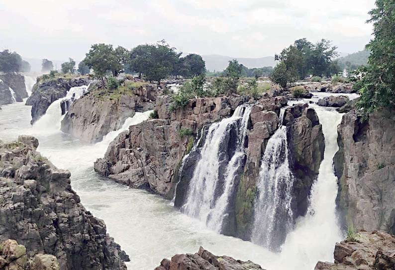 ஒகேனக்கல் ஐந்தருவியில் தண்ணீர் ஆர்ப்பரித்து கொட்டியதை படத்தில் காணலாம்.