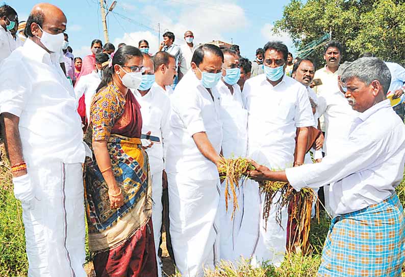 புயல் வெள்ள பாதிப்பு மற்றும் நிவாரணப் பணிகள் குறித்து காஞ்சீபுரம் மாவட்டத்தில் அமைச்சர் செங்கோட்டையன் ஆய்வு