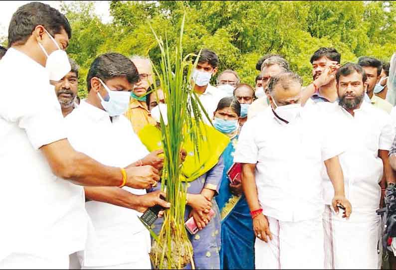 சுகாதார துறையின் துரித நடவடிக்கையால் கொரோனா 2-வது அலையின் தாக்கம் தமிழகத்தில் குறைவு அமைச்சர் தகவல்