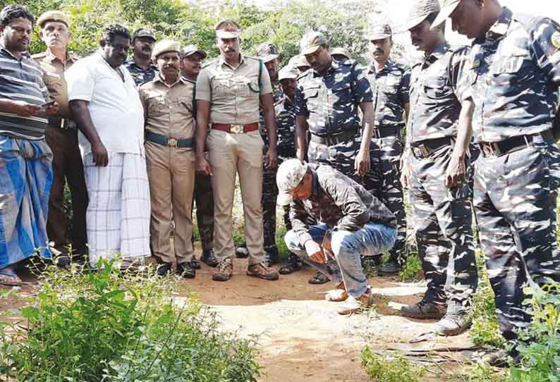 திருக்குறுங்குடியில் சிறுத்தைப்புலி நடமாட்டமா? வனத்துறையினர் நேரில் ஆய்வு