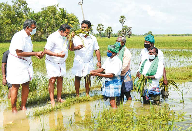 பொங்கல் பண்டிகையின்போது விவசாயிகளிடம் கரும்பு கொள்முதல் செய்து மக்களுக்கு வழங்கப்படும் - எடப்பாடி பழனிசாமி