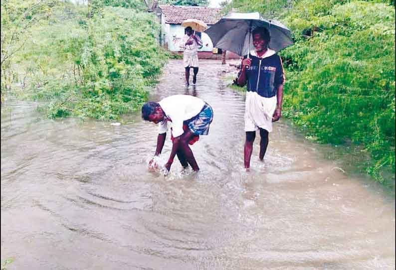 கூத்தாநல்லூர் அருகே வயல்களில் இருந்து வெளியேற்றப்படும் மழைநீர் வாய்க்காலில் வெள்ளம் போல சென்றது