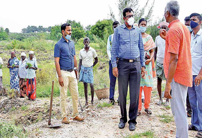 அங்கக முறை சாகுபடி திட்டம் பயிர்களை கலெக்டர் தினேஷ் பொன்ராஜ் ஆலிவர் பார்வையிட்டு ஆய்வு நடத்தியபோது