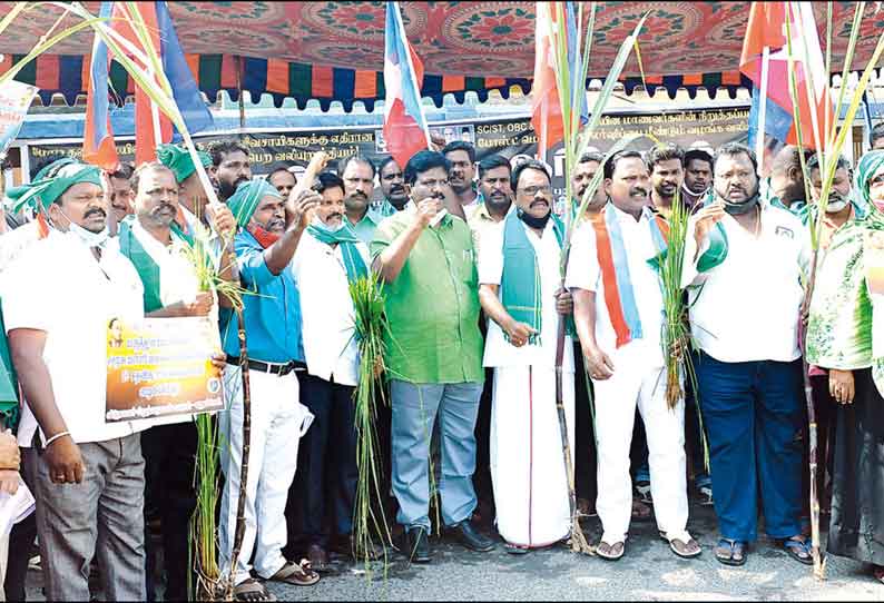 விவசாயிகளுக்கு ஆதரவாக விடுதலை சிறுத்தைகள் கட்சியினர் ஆர்ப்பாட்டம்