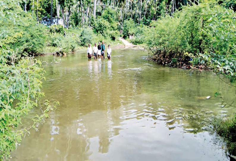 வத்திராயிருப்புவில் அர்ச்சுனா நதியை கடந்து செல்லும் விவசாயிகள்