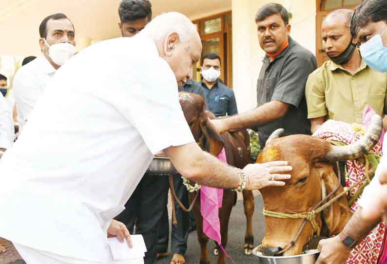 பசுவதை தடைக்கு அவசர சட்டம் பிறப்பிக்க முடிவு - கர்நாடக முதல்-மந்திரி எடியூரப்பா அறிவிப்பு