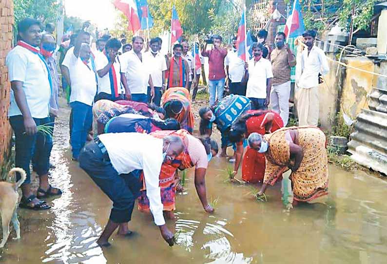 மழைநீரை அகற்றாததை கண்டித்து சாலையில் நாற்று நட்டு பொதுமக்கள் நூதன போராட்டம்