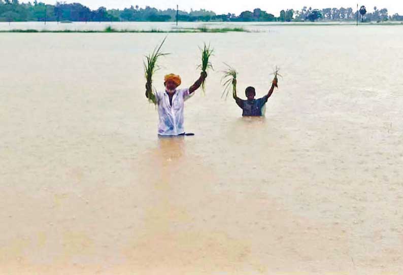 தமிழகத்தில் 16-ந்தேதிக்கு பிறகு மீண்டும் மழைக்கு வாய்ப்பு வானிலை ஆய்வு மையம் தகவல்