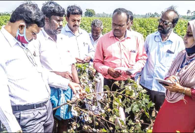 மண்ணச்சநல்லூர் பகுதிகளில் புெரவி புயலால் பாதிக்கப்பட்ட பயிர்களை வேளாண் அதிகாரிகள் ஆய்வு