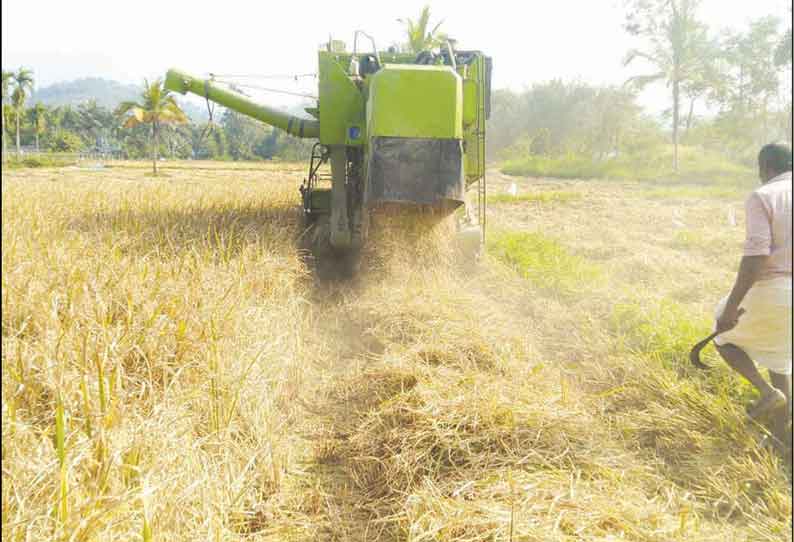 கூடலூர் பகுதியில் எந்திரங்கள் மூலம் நெல் அறுவடை தொடங்கியது