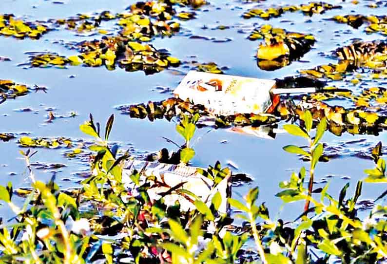 கொடைக்கானலில், தேங்கி கிடக்கும் குப்பைகளால் மாசடைந்த நட்சத்திர ஏரி - தூய்மைப்படுத்த பொதுமக்கள், சுற்றுலா பயணிகள் கோரிக்கை