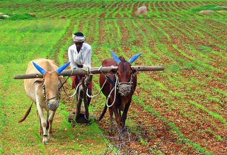 விவசாயிகள் குறை தீர்க்கும் கூட்டம் காணொலி காட்சி மூலம் நாளை நடக்கிறது