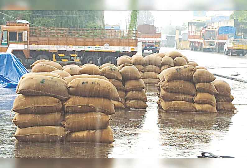 செஞ்சி ஒழுங்குமுறை விற்பனைக்கூடத்தில் மழையில் நனைந்து 500 நெல் மூட்டைகள் சேதம் - விவசாயிகள் கவலை