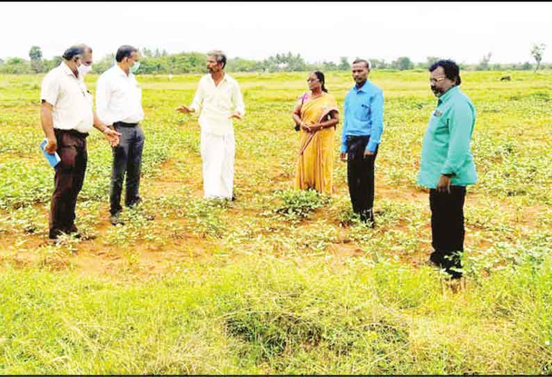 பொன்னமராவதி அருகே தரிசு நிலத்தை விளை நிலமாக மாற்றும் திட்டத்தை அதிகாரிகள் ஆய்வு