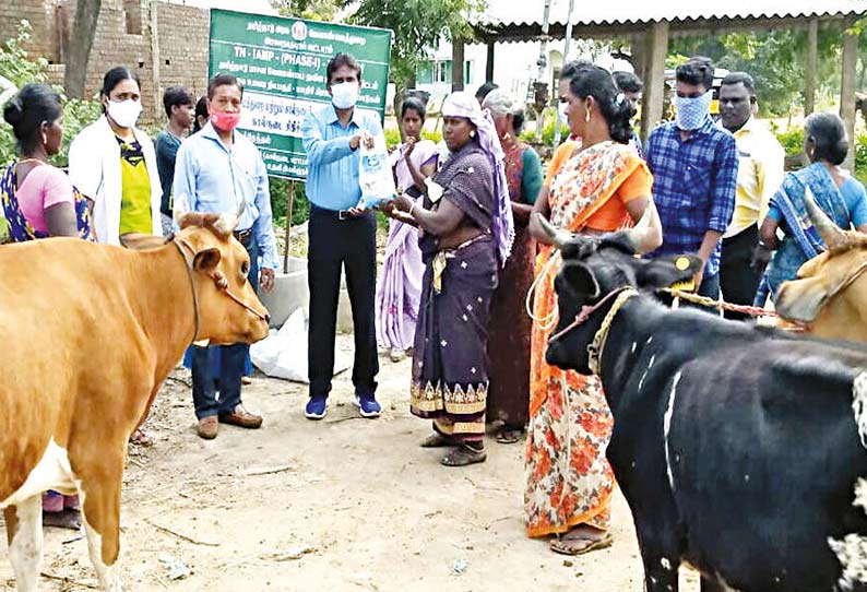 புத்தேந்தல் கிராமத்தில் கால்நடை மருத்துவ முகாம ்நடந்தபோது எடுத்தபடம்.