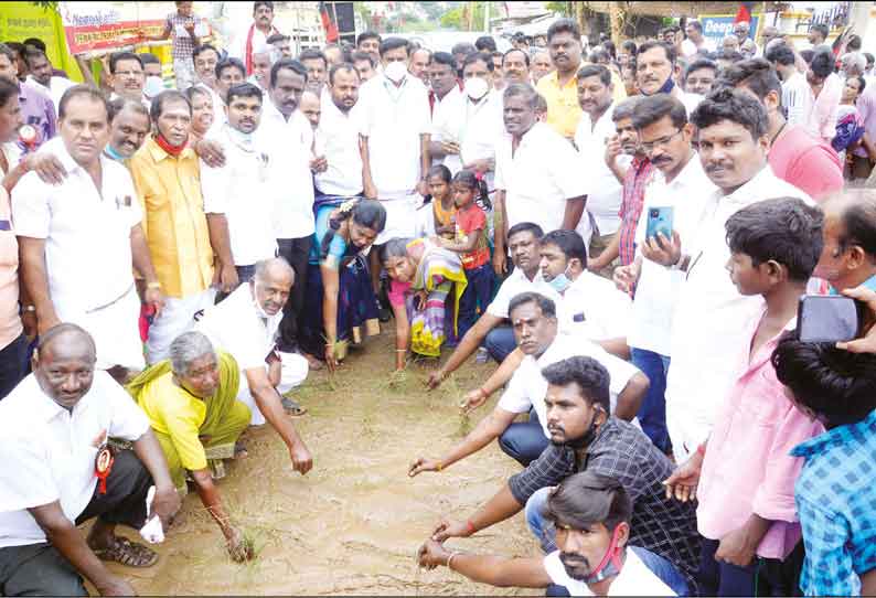 குளத்துப்புதூரில் சேறும், சகதியுமான சாலை: நாற்று நட்டு தி.மு.க.வினர் போராட்டம்