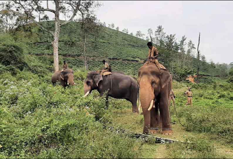 பந்தலூர் அருகே தந்தை-மகனை கொன்ற காட்டு யானை கேரளாவுக்கு சென்றது - மயக்க ஊசி செலுத்தி பிடிக்க வனத்துறையினர் தீவிரம்