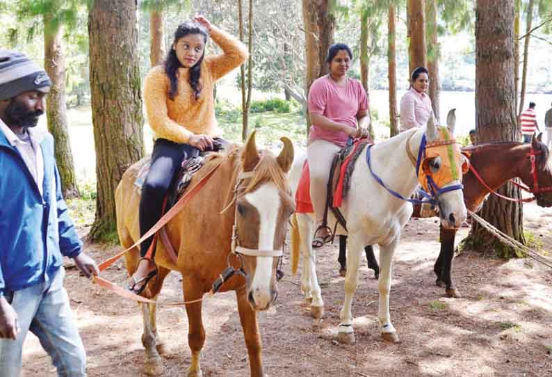 ஊட்டி பைன் பாரஸ்ட்டில் குதிரை சவாரி செய்து சுற்றுலா பயணிகள் மகிழ்ச்சி