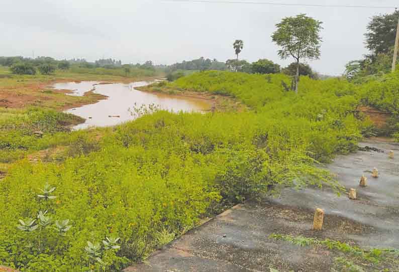 வடகிழக்கு பருவமழை சரியாக பெய்யாததால் கடவூர் ஒன்றிய பகுதிகளில் நிரம்பாத ஏரி-குளங்கள் விவசாயிகள் கவலை