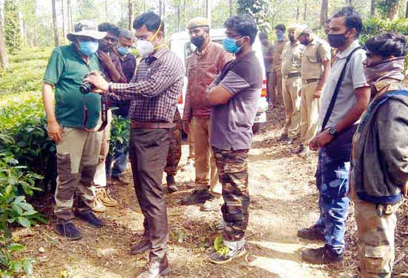 கூடலூரில், காயத்துடன் சுற்றித்திரியும் காட்டுயானையை பிடித்து சிகிச்சை அளிக்க நடவடிக்கை