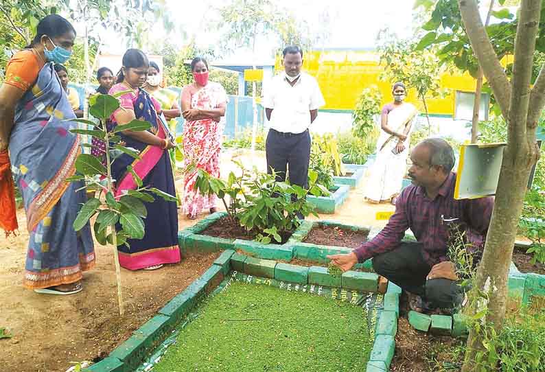 அரசு பள்ளிகளில், மரக்கன்றுகள் வளர்க்கும் திட்டம் தொடக்கம்