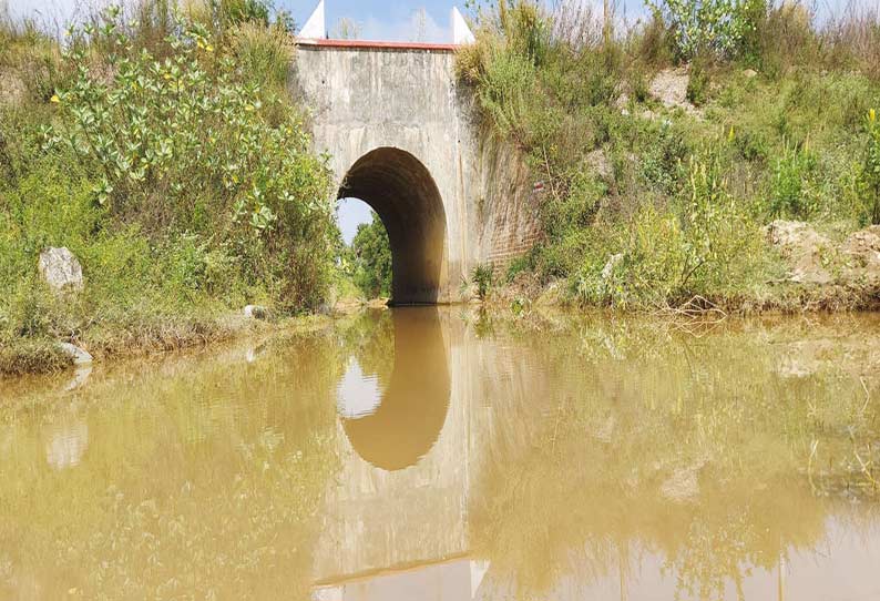 ஒற்றைக்கண் பாலத்தின் கீழே ஏரி நீர் குளம் போல் தேங்கி நிற்பதை படத்தில் காணலாம்