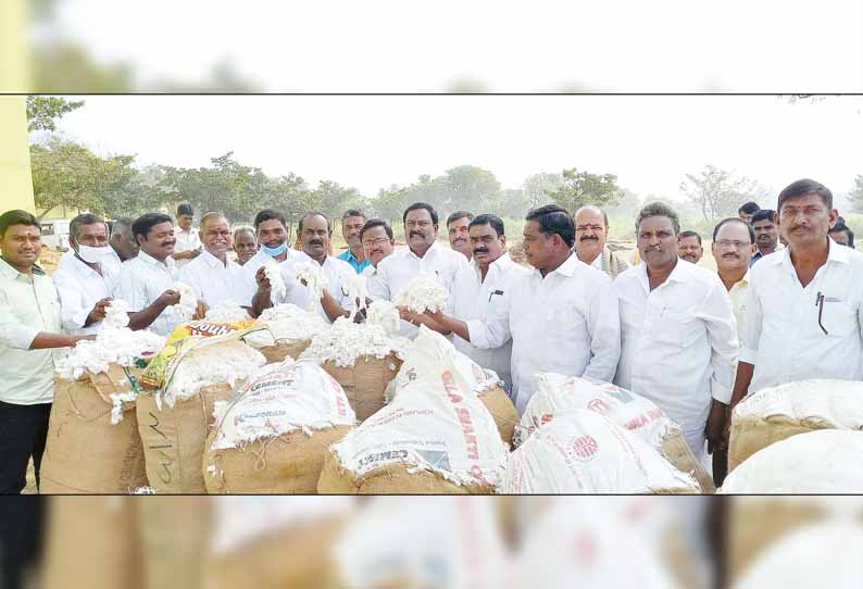 மாடப்பள்ளி உழவர் சேவை கூட்டுறவு கடன் சங்கம் மூலம் பருத்தி விற்பனை தொடக்கம் - முதல் நாளில் ரூ.25 லட்சத்துக்கு ஏலம் போனது