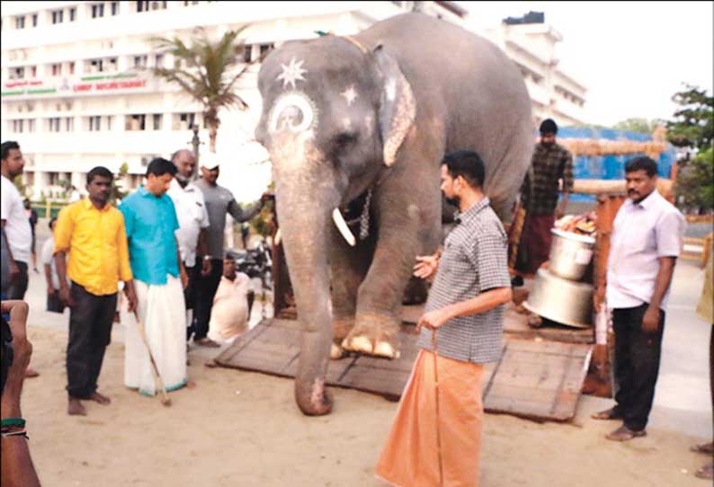 மேட்டுப்பாளையம் நலவாழ்வு முகாம் நிறைவு: மணக்குள விநாயகர் கோவில் யானை புதுச்சேரி வந்தது