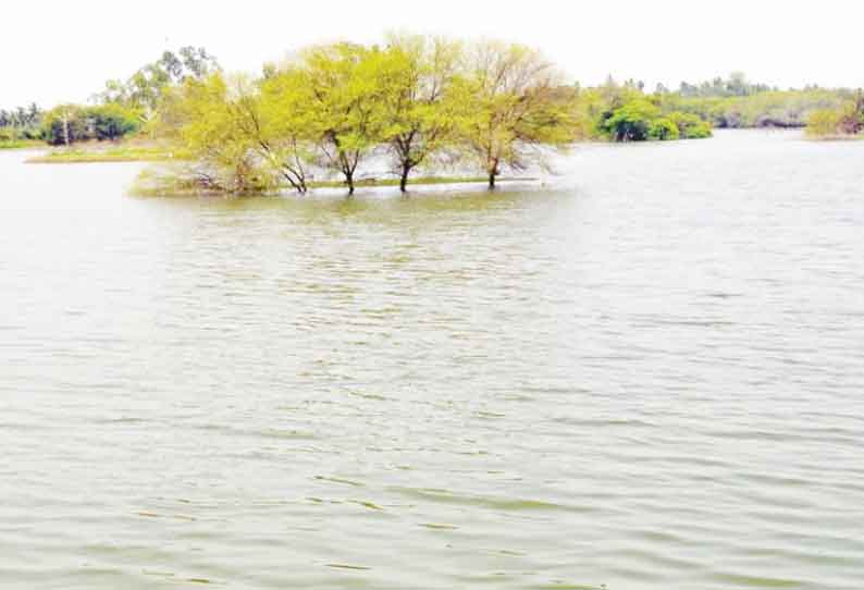 வெள்ளோடு சரணாலயத்தில் பறவைகள் கணக்கெடுக்கும் பணி இந்த மாதம் நடக்கிறது