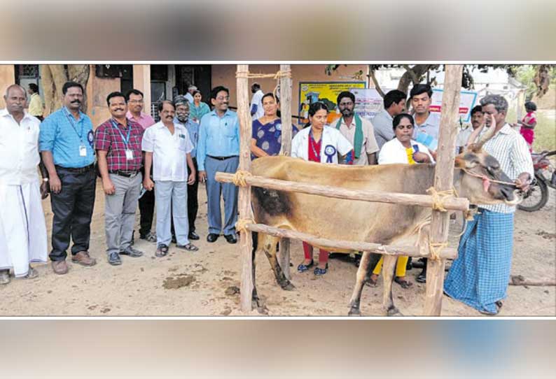 கால்நடை பராமரிப்பு விழிப்புணர்வு முகாம்