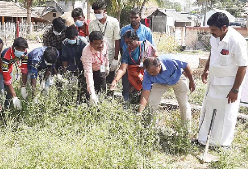 பார்த்தீனியம் செடிகளை அழிக்கும் பணி