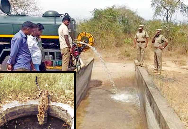 முதுமலையில் கடும் வறட்சி: வனவிலங்குகளின் தாகத்தை தீர்க்க தொட்டிகளில் தண்ணீர் ஊற்றும் பணி தொடக்கம்