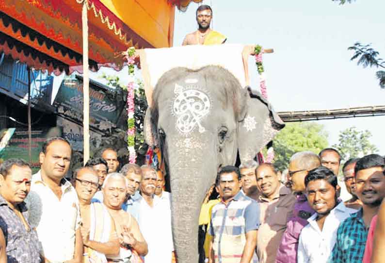 திருச்செந்தூர் சுப்பிரமணிய சுவாமி கோவிலில் மாசி திருவிழா இன்று கொடியேற்றத்துடன் தொடங்குகிறது யானை மீது கொடிப்பட்டம் வீதி உலா