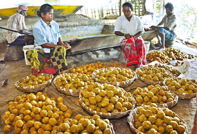 பொங்கல் பண்டிகையை முன்னிட்டு அலங்காநல்லூர் பகுதியில் வெல்லம் தயாரிப்பு பணி தீவிரம்