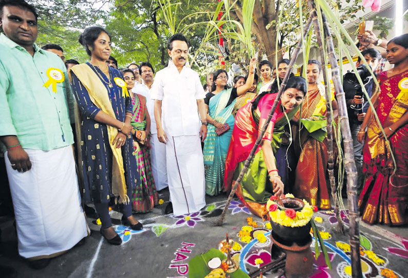 மு.க.ஸ்டாலின் தலைமையில் கொளத்தூரில் பொங்கல் விழா துர்கா ஸ்டாலின் பொங்கலிட்டார்