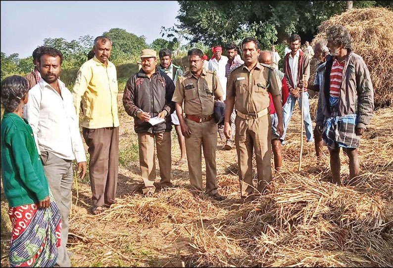 தேன்கனிக்கோட்டை அருகே, பயிர்களை சேதப்படுத்திய காட்டு யானைகள் - விவசாயிகள் கவலை