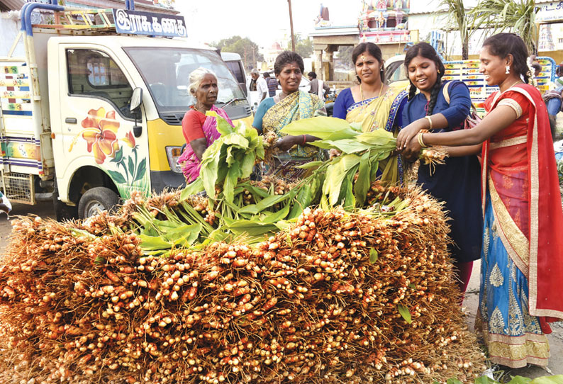 பொங்கல் விழாவையொட்டி மஞ்சள் கொத்துகள் – கரும்புகள் விற்பனை அமோகம்