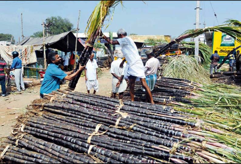 பொங்கல் பண்டிகை கொண்டாட செங்கரும்பு, மஞ்சள் குலை வாங்க அலைமோதிய மக்கள் கூட்டம் - வாகன நெரிசலால் போக்குவரத்து பாதிப்பு