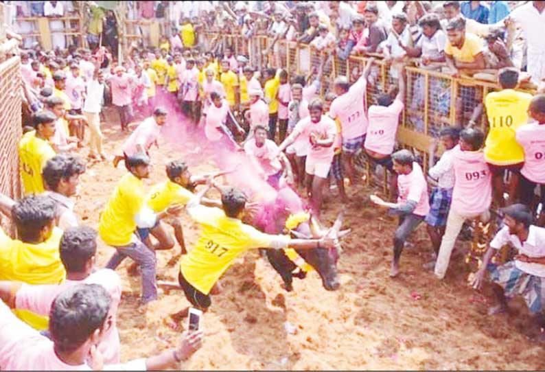 கறம்பக்குடி அருகே ஜல்லிக்கட்டு: சீறிப்பாய்ந்த காளைகள் முட்டியதில் 16 பேர் காயம்