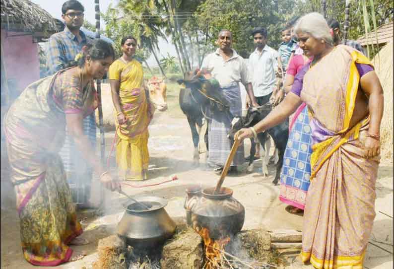 சேலம் சுற்றுவட்டார பகுதிகளில் மாட்டுப்பொங்கல் விழா கொண்டாட்டம்