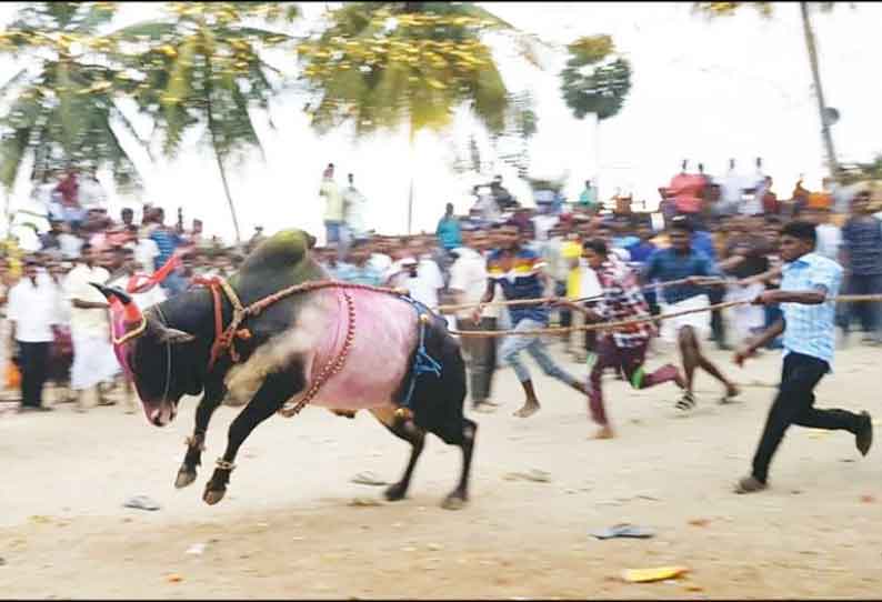 ஓமலூர், இளம்பிள்ளை அருகே 150 காளைகள் பங்கேற்ற எருதாட்டம்