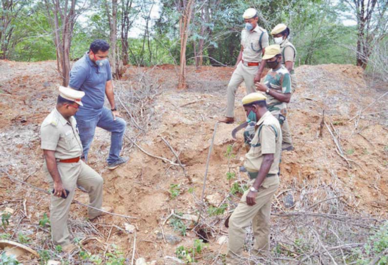 சிறுமுகை வனப்பகுதியில் யானைகள் உயிரிழப்பை கண்டறிய கண்காணிப்பு குழு ஆய்வு