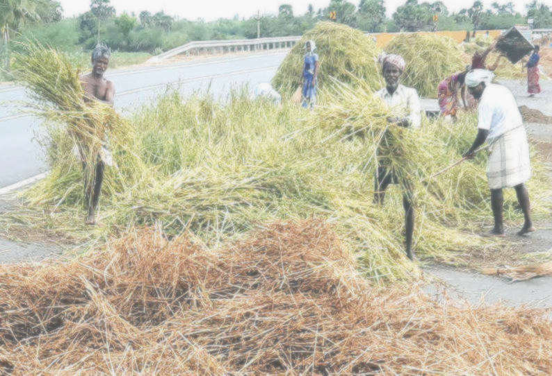 ஊரடங்கால் எள் விலை வீழ்ச்சி விவசாயிகள் வேதனை