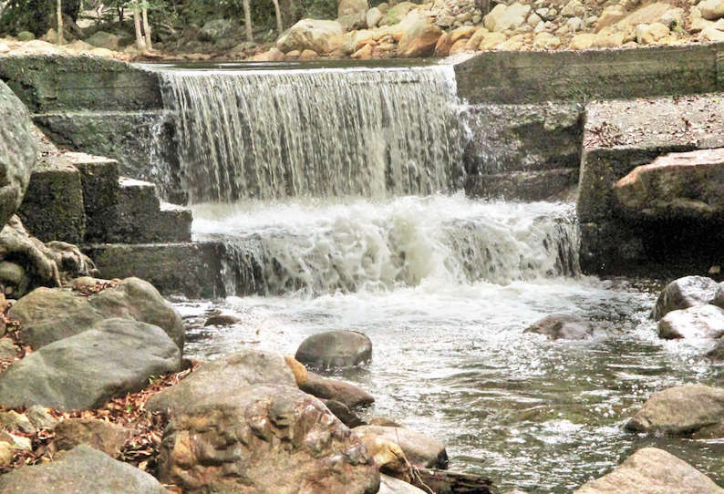 தென்மேற்கு பருவமழையால் பாபநாசம் அணை நீர்மட்டம் ஒரே நாளில் 5 அடி உயர்வு களக்காடு தலையணைக்கு தண்ணீர் வரத்து