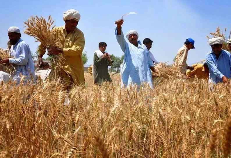 கொரோனாவால் இடம் பெயர்ந்த தொழிலாளர்களுக்கு சலுகை மழை: திரும்ப அழைக்க வாரி இறைக்கும் பஞ்சாபியர்கள்